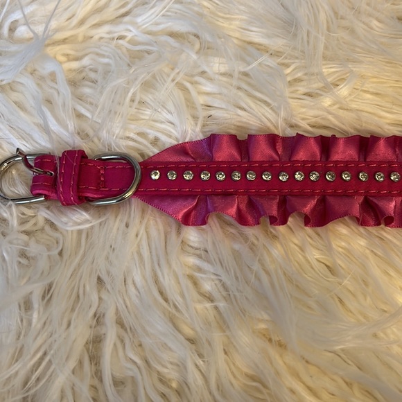 Dog collar - Picture 1 of 6